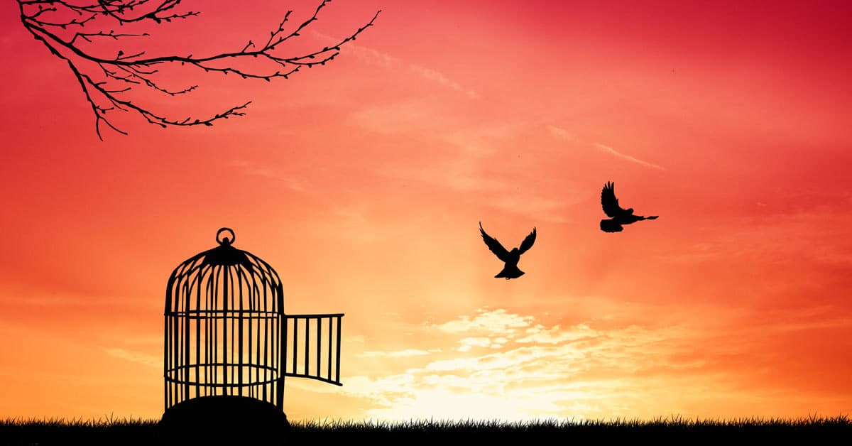 A bird cage symbolizes the presence of limiting beliefs, while birds flying freely in the sky represent liberation from those constraints.