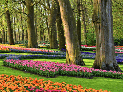 Keukenhof Park, Holland