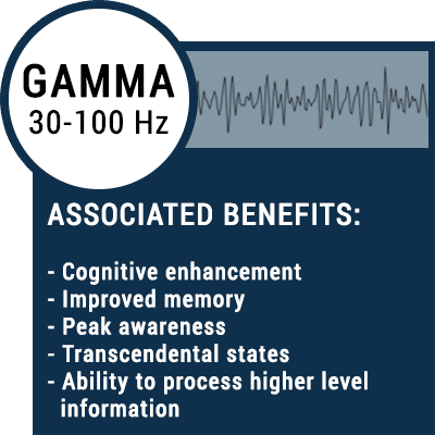 Gamma Brain Waves