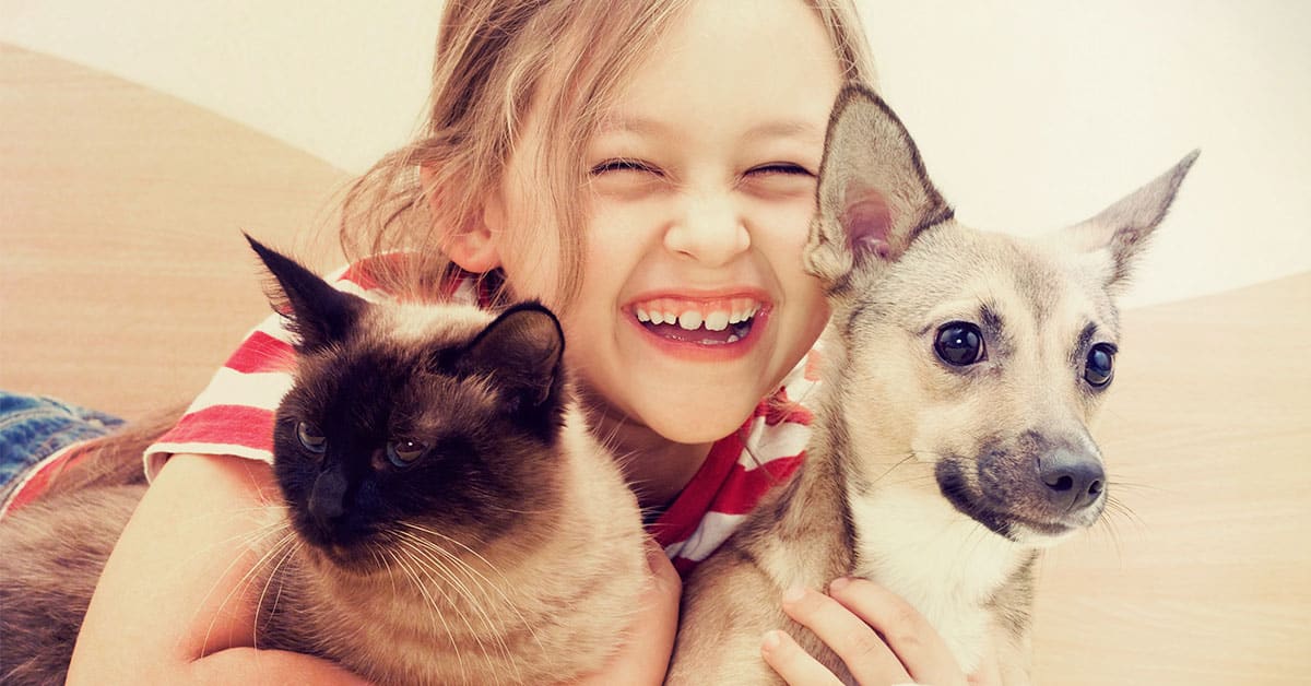 A little girl finding a pet by using the law of attraction.