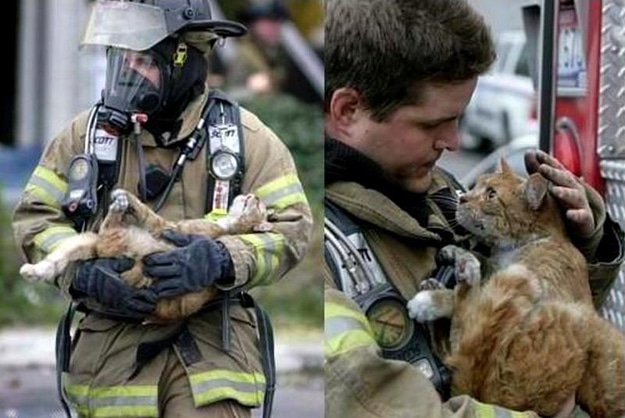 Fire-fighter administers oxygen to a cat rescued from a house fire.